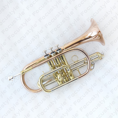 Cornet FCT-300