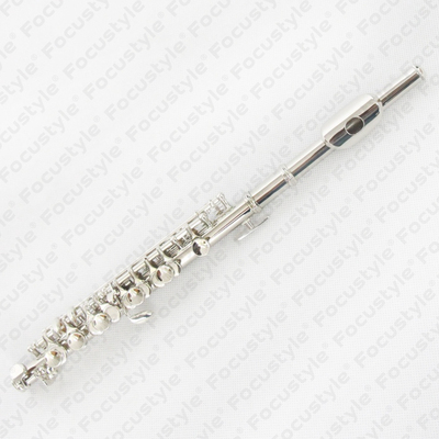 Piccolo FPC-100