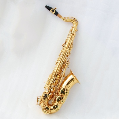 Kids Alto Saxophone FAS-K400