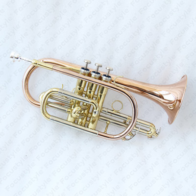 Cornet →
