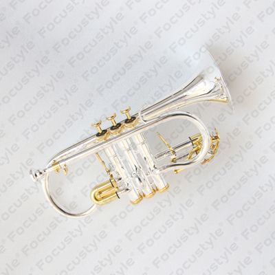 Soprano Cornet FCT-500